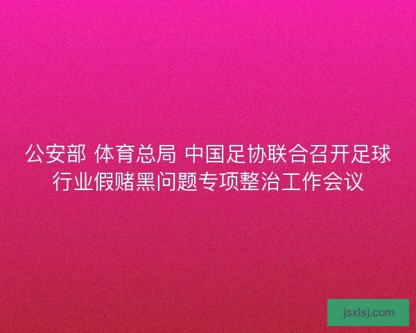 公安部 体育总局 中国足协联合召开足球行业假赌黑问题专项整治工作会议